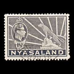 7657 Nyasaland SG132a 1½D Grey 1942. Sc#56A Mi57. Used. C£9, view 3