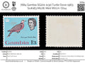 7684 Gambia SG201 1s3d Turtle Dove 1963. Sc#183 Mi178. Mint MVLH. C£14
