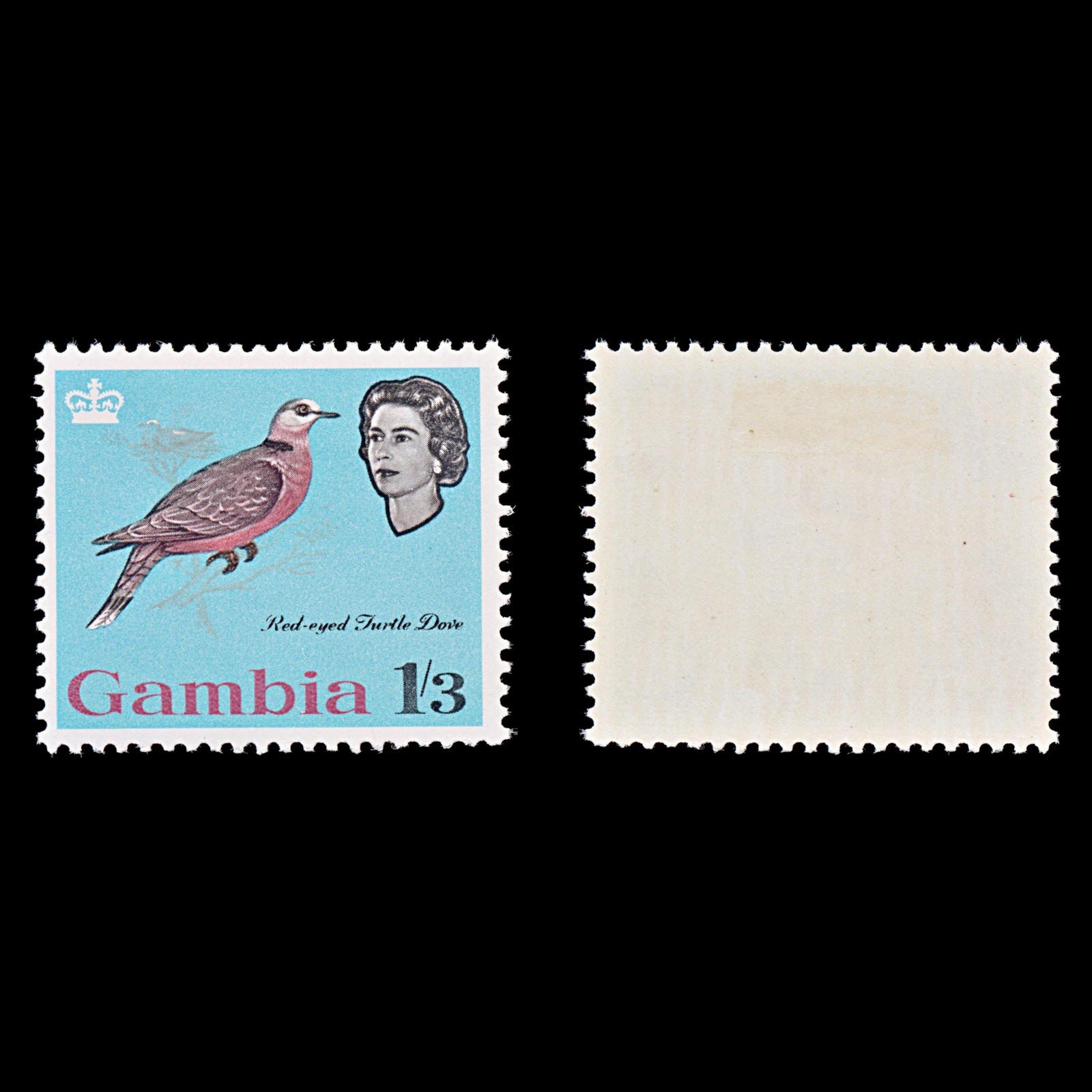 7684 Gambia SG201 1s3d Turtle Dove 1963. Sc#183 Mi178. Mint MVLH. C£14