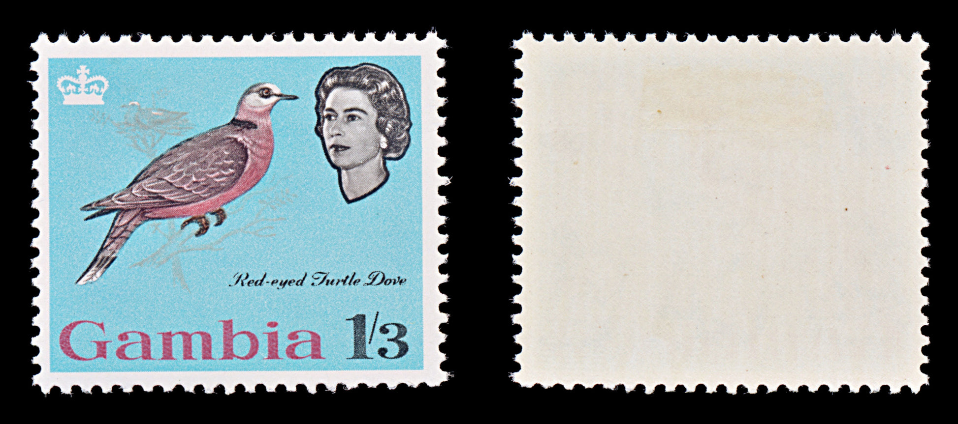 7684 Gambia SG201 1s3d Turtle Dove 1963. Sc#183 Mi178. Mint MVLH. C£14