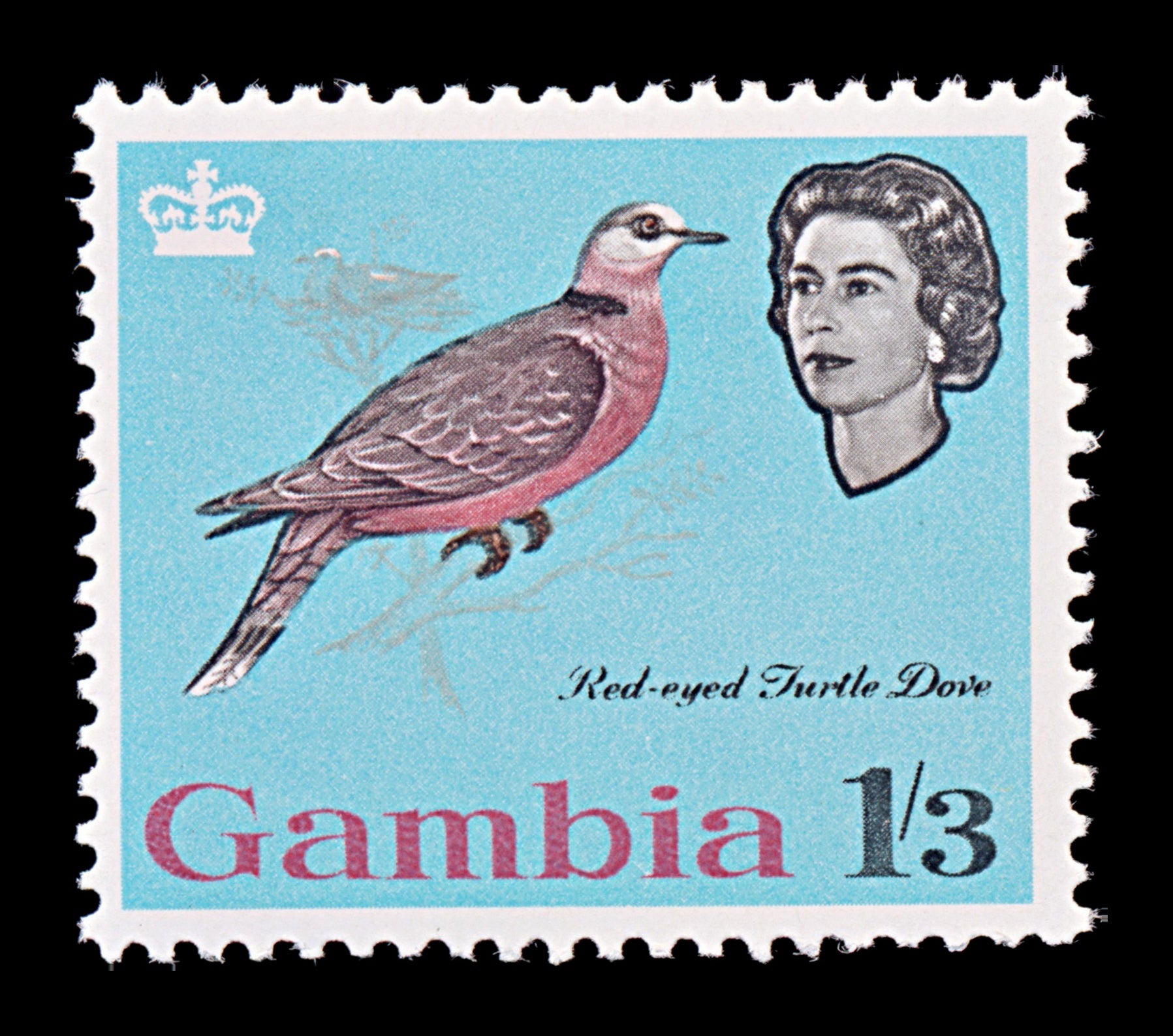 7684 Gambia SG201 1s3d Turtle Dove 1963. Sc#183 Mi178. Mint MVLH. C£14