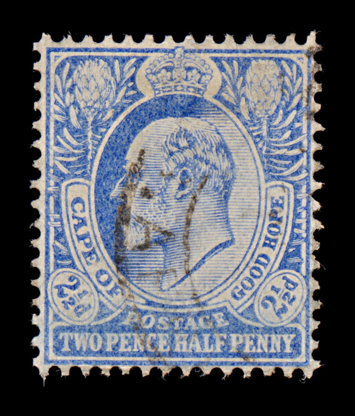 7697 Cape of Good Hope SG73 2½D Light Blue 1904. Sc#66 Mi56. Used. C£22