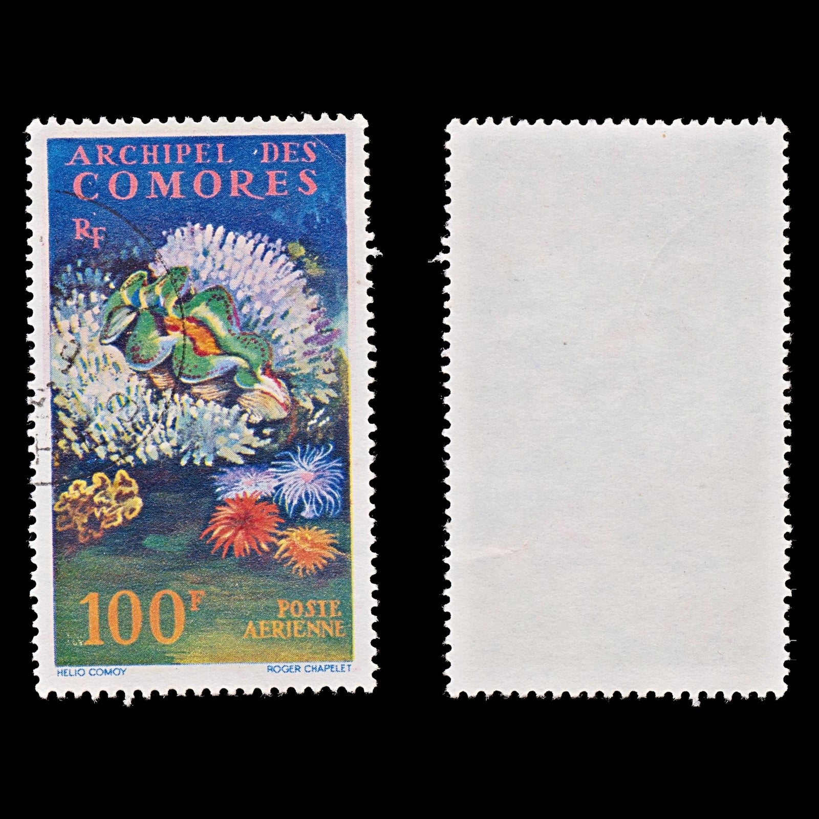 7807 Comoros SG29 100F Sealife 1962. Sc#C5 Mi50. Used. C£14