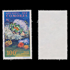 7807 Comoros SG29 100F Sealife 1962. Sc#C5 Mi50. Used. C£14, view 1