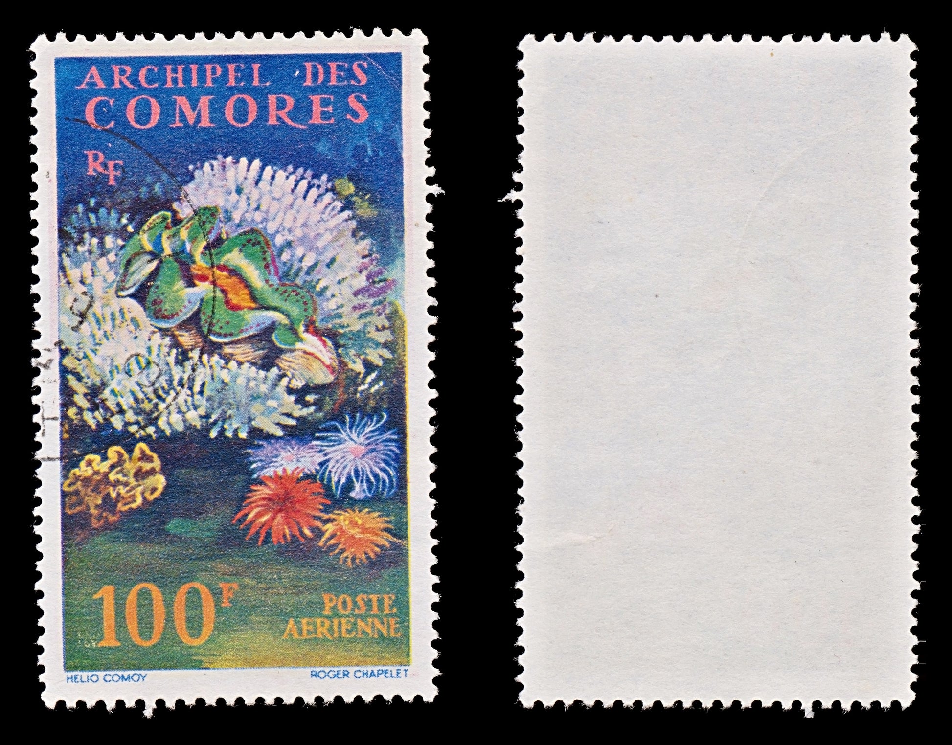 7807 Comoros SG29 100F Sealife 1962. Sc#C5 Mi50. Used. C£14