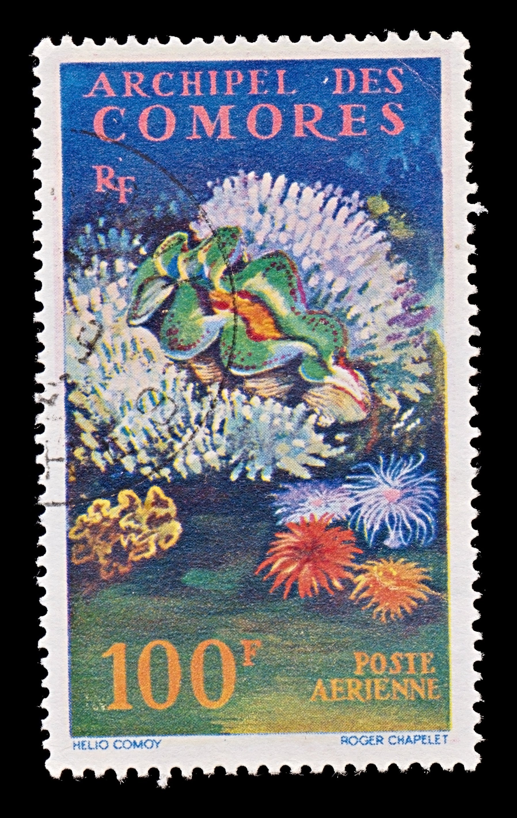 7807 Comoros SG29 100F Sealife 1962. Sc#C5 Mi50. Used. C£14
