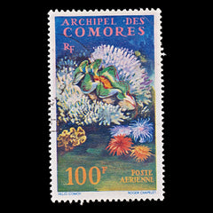 7807 Comoros SG29 100F Sealife 1962. Sc#C5 Mi50. Used. C£14, view 3