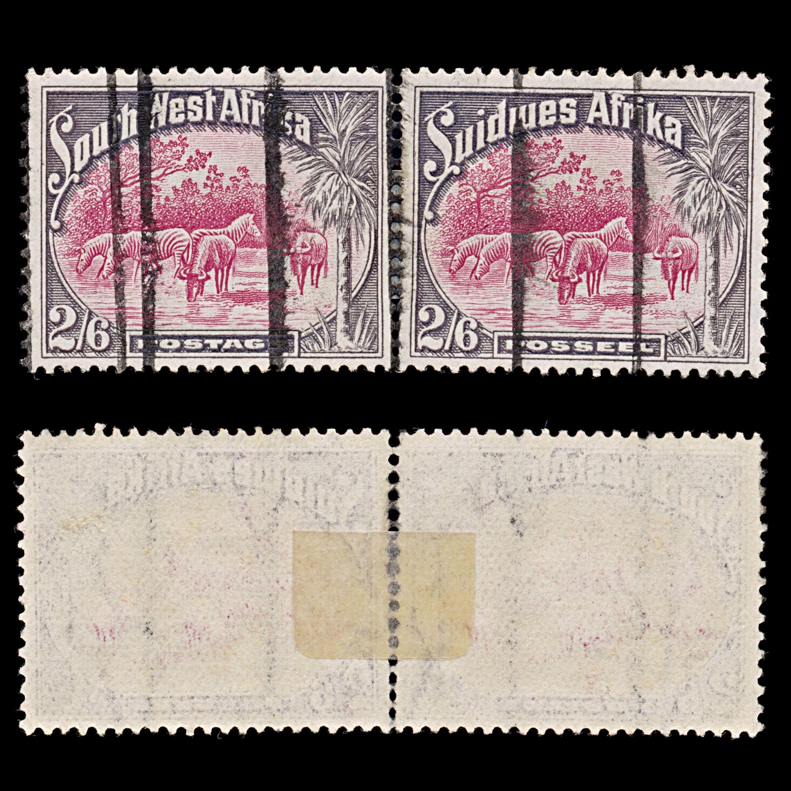 7862: South-West Africa SG82 2s6d Pink & Slate 1931 Sc#117 Mi156-157 Used C£28