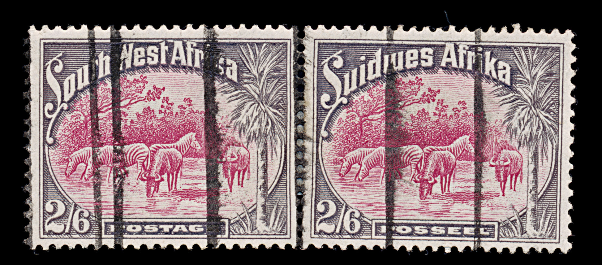 7862: South-West Africa SG82 2s6d Pink & Slate 1931 Sc#117 Mi156-157 Used C£28