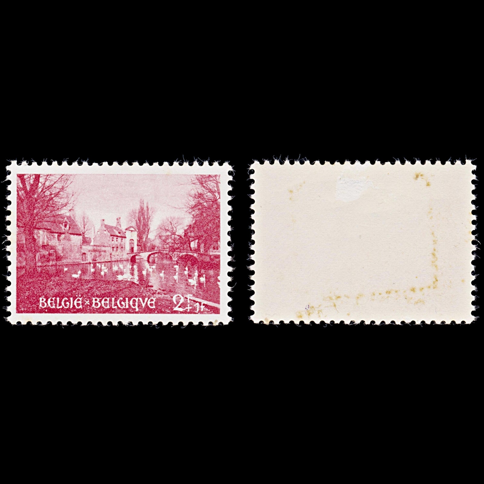 7923: Belgium SG1535 2+1F Carmine rose 1954 Sc#B562 Mi996 Mint MH C£16