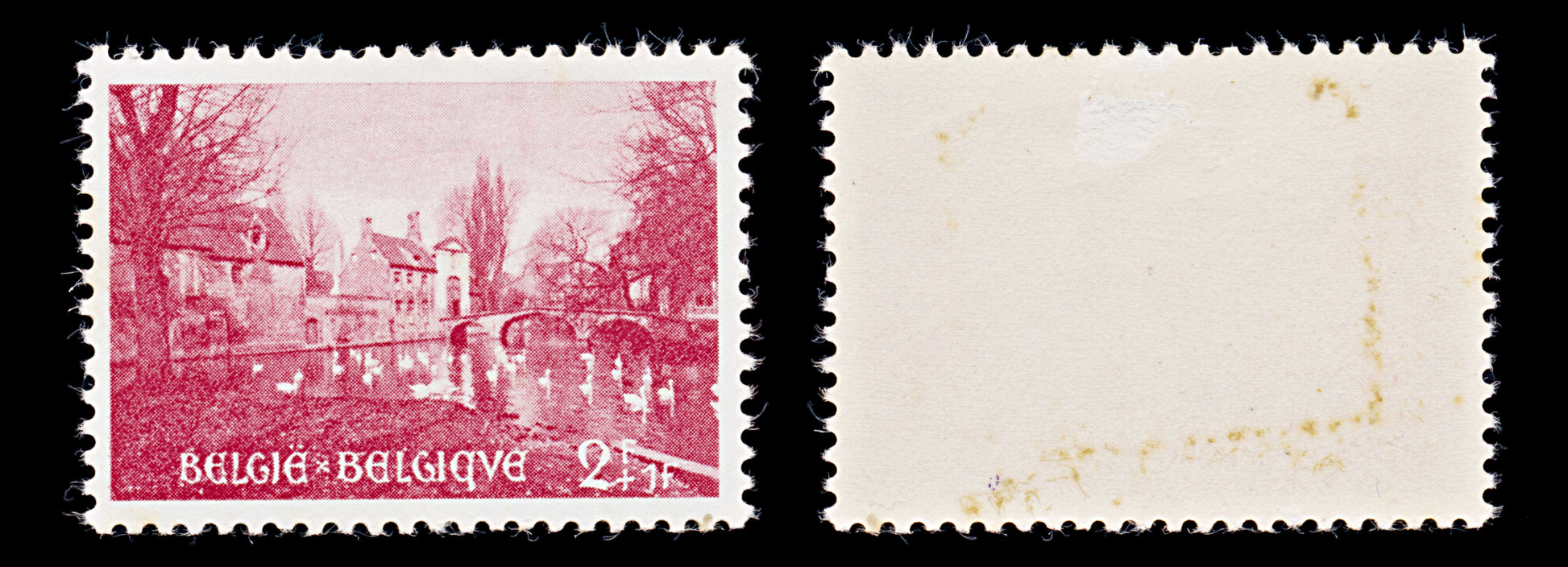 7923: Belgium SG1535 2+1F Carmine rose 1954 Sc#B562 Mi996 Mint MH C£16