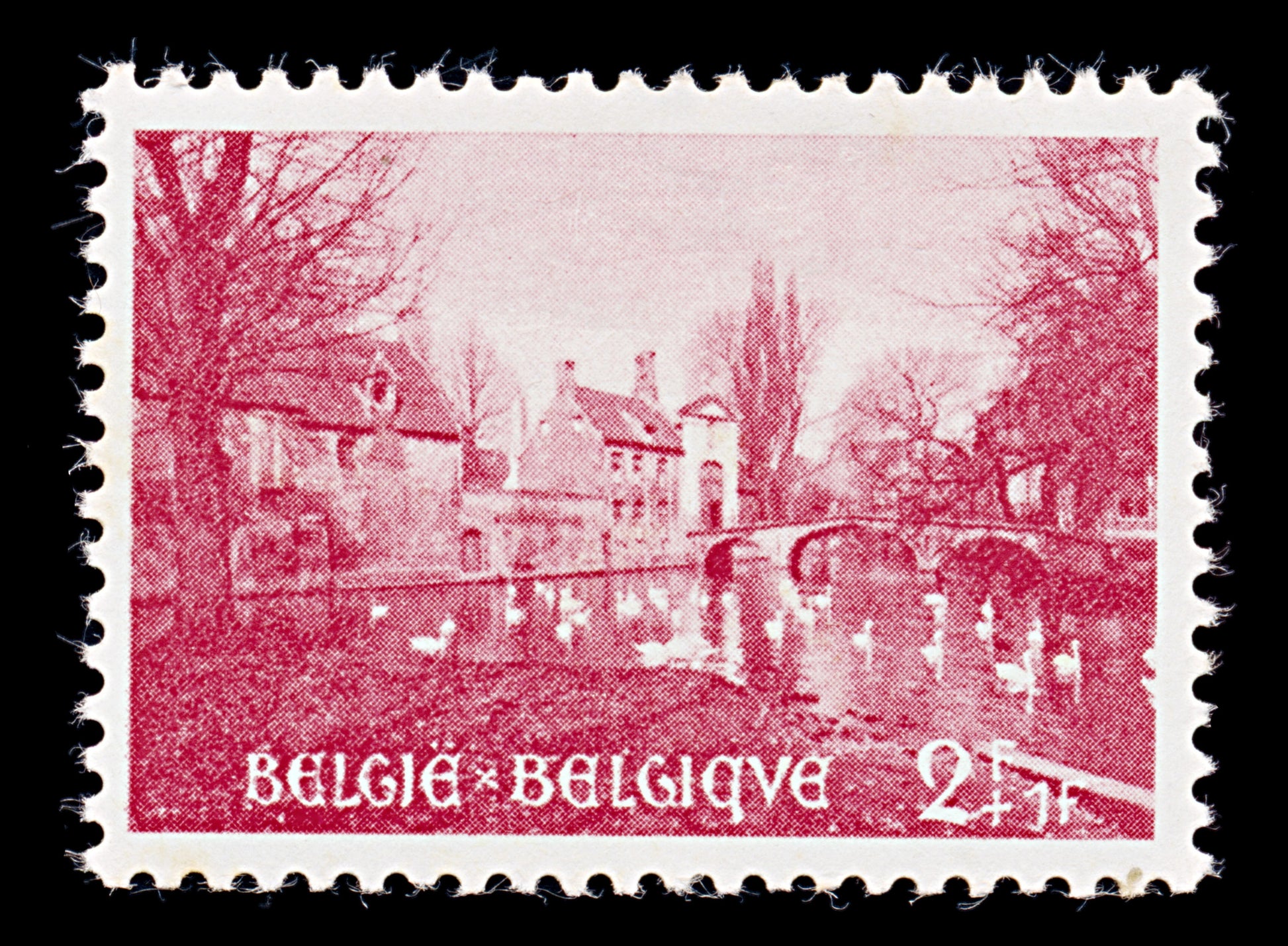 7923: Belgium SG1535 2+1F Carmine rose 1954 Sc#B562 Mi996 Mint MH C£16