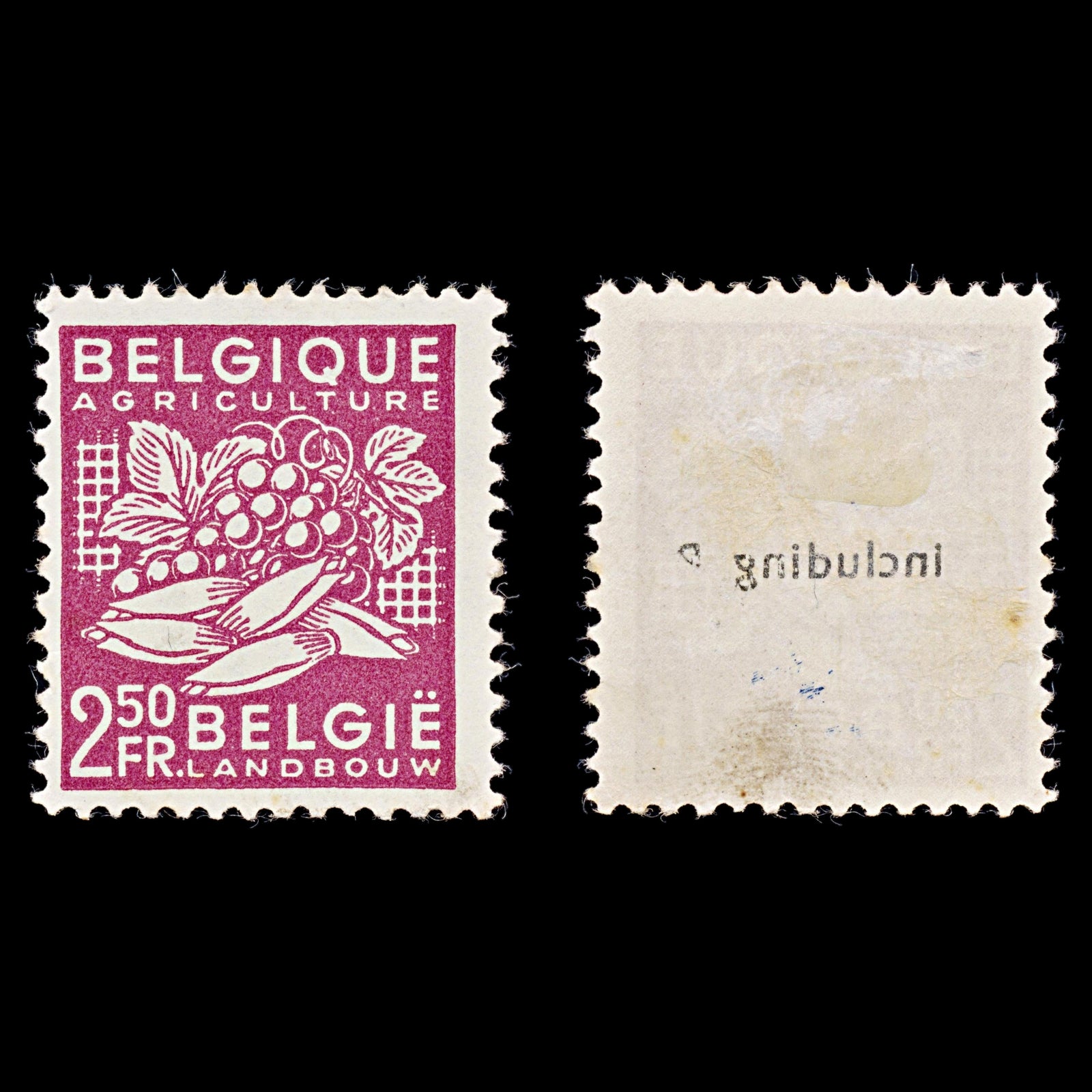 7924: Belgium SG1223 2.50F Red lilac 1948 Sc#380 Mi810 Mint MH C£10