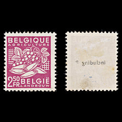 7924: Belgium SG1223 2.50F Red lilac 1948 Sc#380 Mi810 Mint MH C£10, view 1