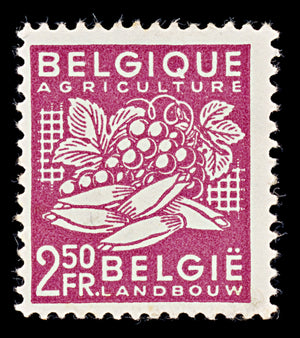 7924: Belgium SG1223 2.50F Red lilac 1948 Sc#380 Mi810 Mint MH C£10