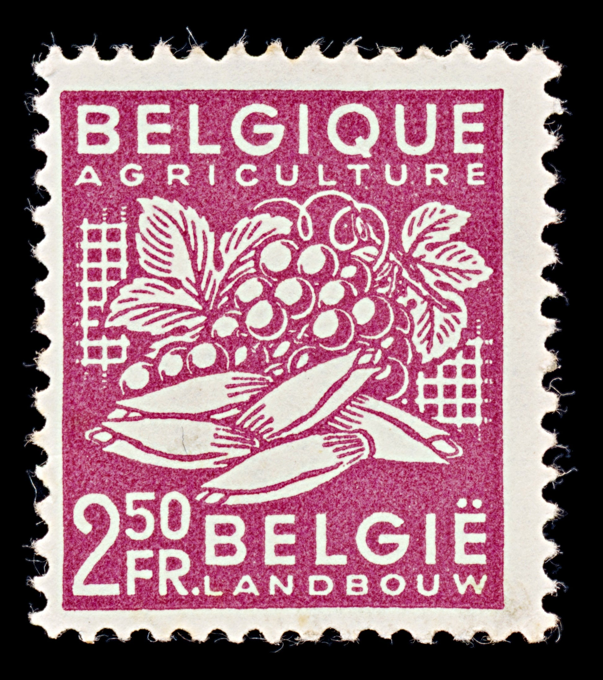 7924: Belgium SG1223 2.50F Red lilac 1948 Sc#380 Mi810 Mint MH C£10