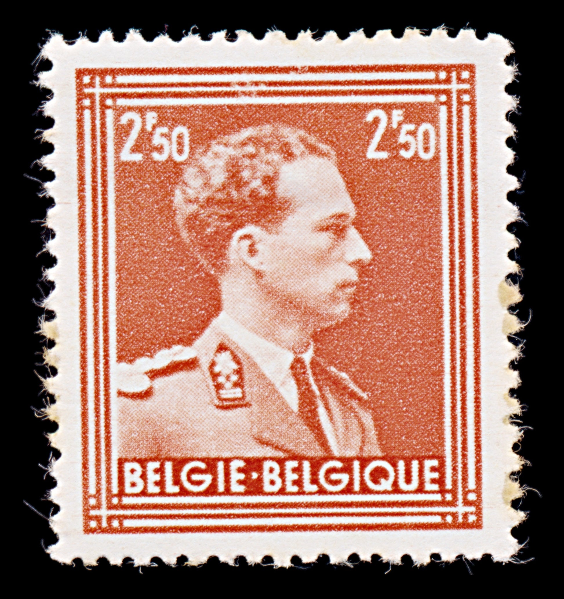 7925: Belgium SG755 2.50F Brick red 1951 Sc#291 Mi899A Mint MH C£11