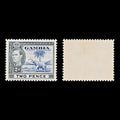 7993: Gambia SG153 2d Blue & Black 1938 Sc#135 Mi127 Mint MLH C£15