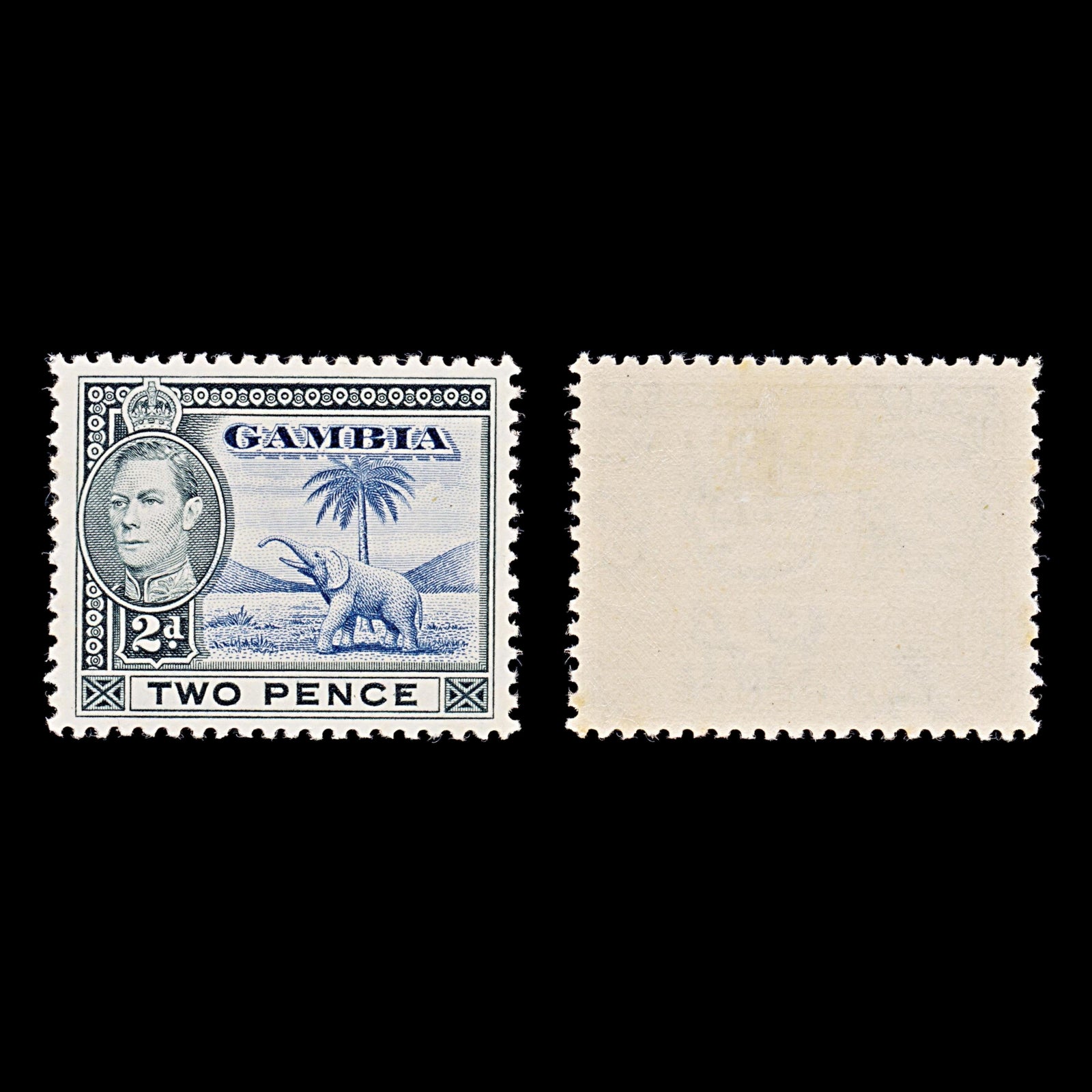 7993: Gambia SG153 2d Blue & Black 1938 Sc#135 Mi127 Mint MLH C£15