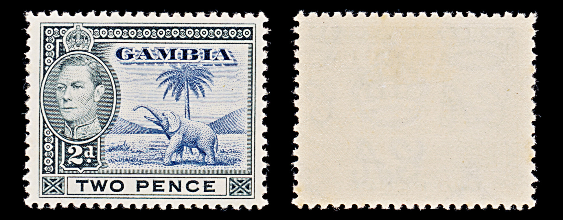 7993: Gambia SG153 2d Blue & Black 1938 Sc#135 Mi127 Mint MLH C£15