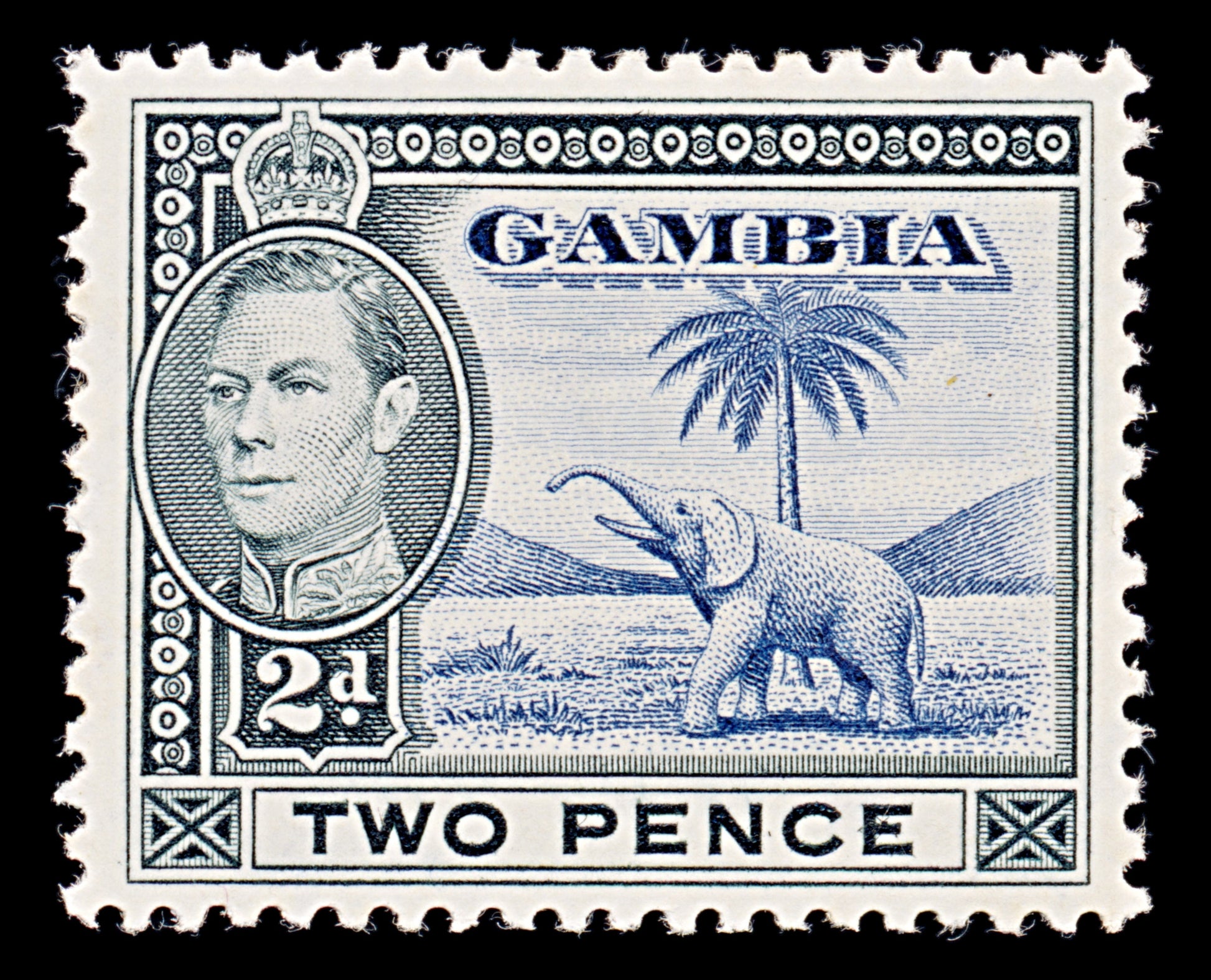 7993: Gambia SG153 2d Blue & Black 1938 Sc#135 Mi127 Mint MLH C£15