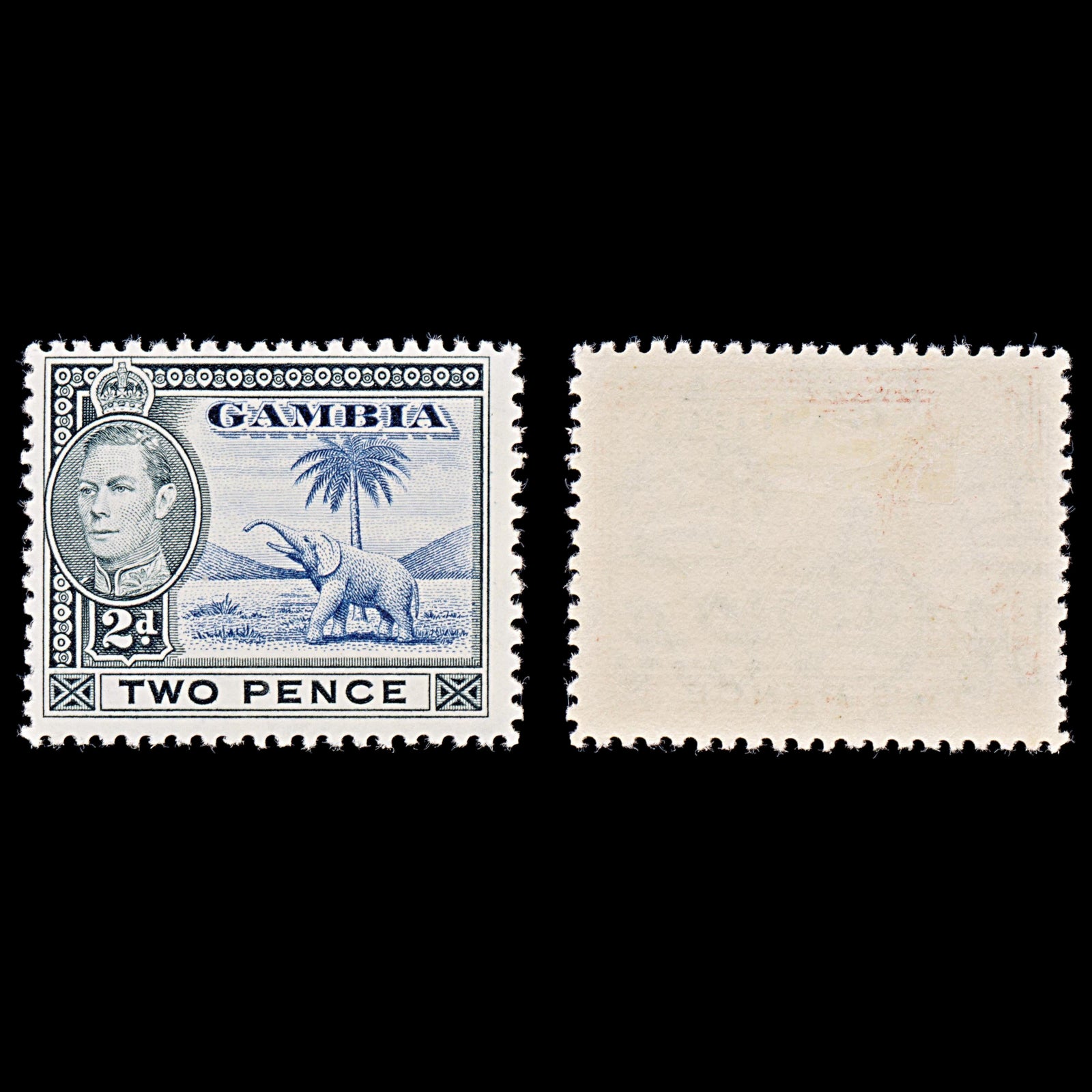 8054: Gambia SG153 2d Blue & Black 1938 Sc#135 Mi127 Mint MLH C£15