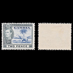 8054: Gambia SG153 2d Blue & Black 1938 Sc#135 Mi127 Mint MLH C£15, view 1