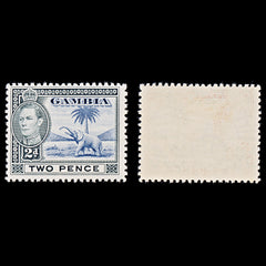 8054: Gambia SG153 2d Blue & Black 1938 Sc#135 Mi127 Mint MLH C£15, view 2