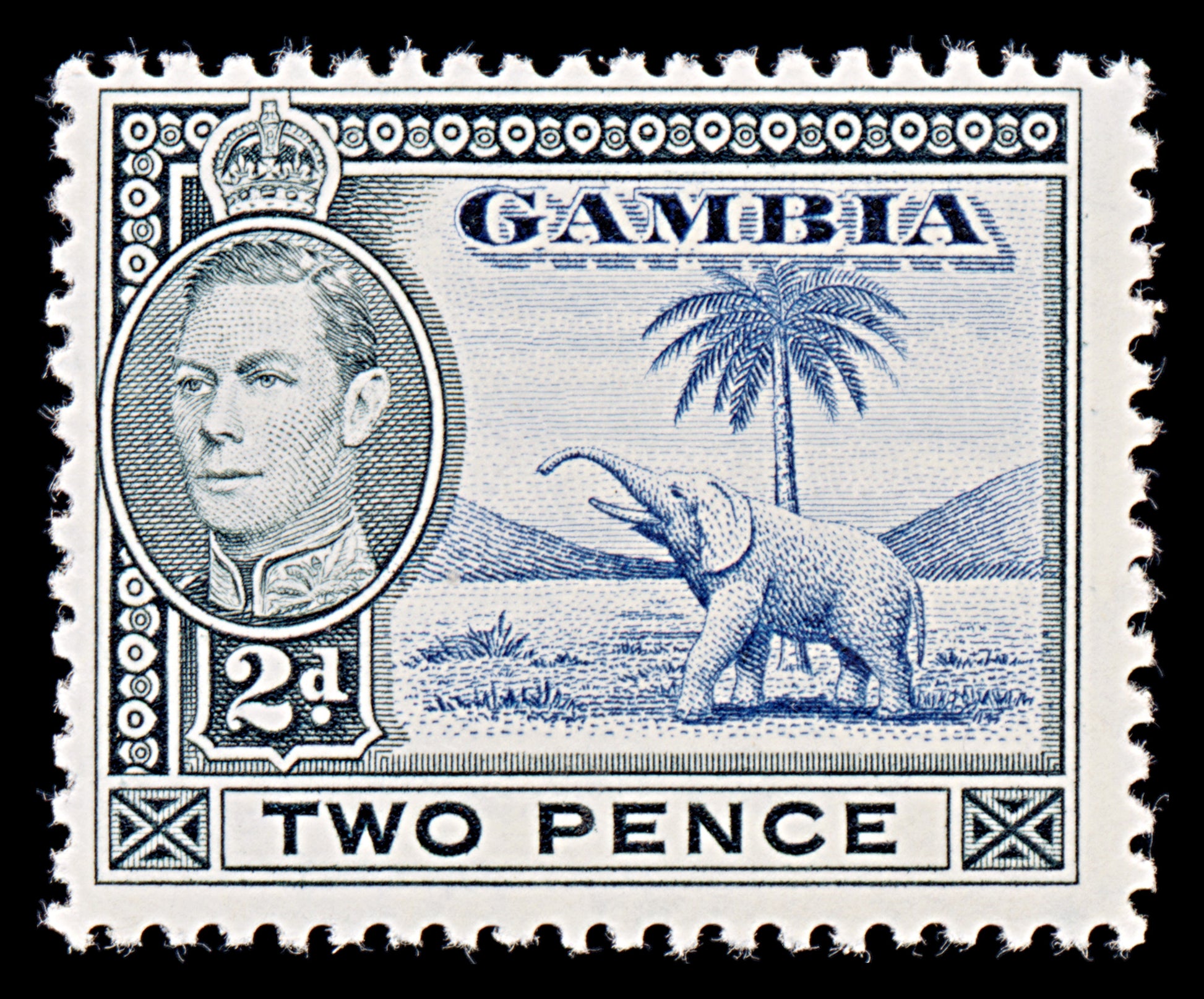 8054: Gambia SG153 2d Blue & Black 1938 Sc#135 Mi127 Mint MLH C£15