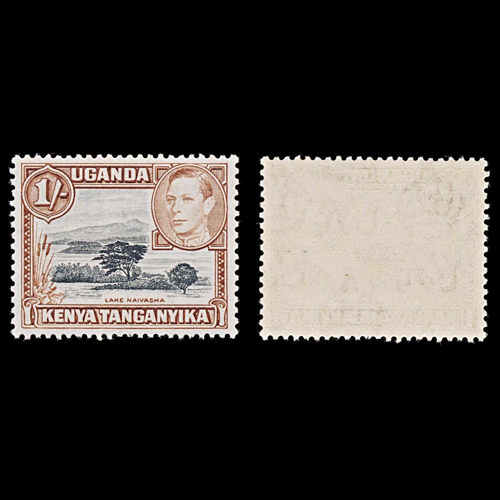 8068: KUT SG145b 1s Black & Yellowish brown 1949 Sc#80a Mi66C Mint MVLH C£24