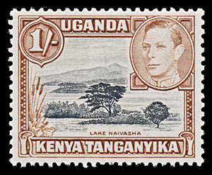 8068: KUT SG145b 1s Black & Yellowish brown 1949 Sc#80a Mi66C Mint MVLH C£24