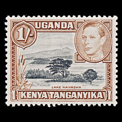 8068: KUT SG145b 1s Black & Yellowish brown 1949 Sc#80a Mi66C Mint MVLH C£24, view 3
