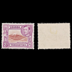 8069: KUT SG146b 2s Brown & Red violet 1944 Sc#81 Mi67D Mint MLH C£50, view 1