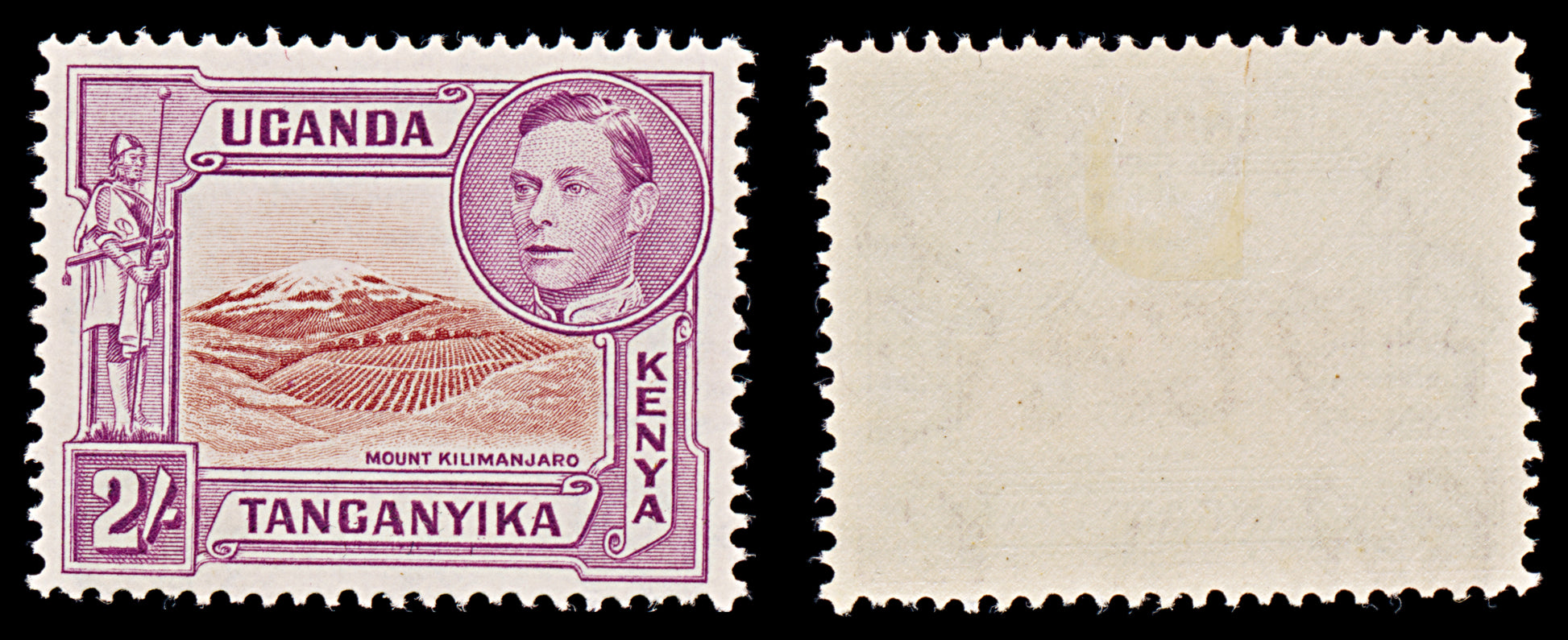 8069: KUT SG146b 2s Brown & Red violet 1944 Sc#81 Mi67D Mint MLH C£50