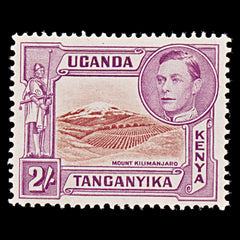 8069: KUT SG146b 2s Brown & Red violet 1944 Sc#81 Mi67D Mint MLH C£50, view 3