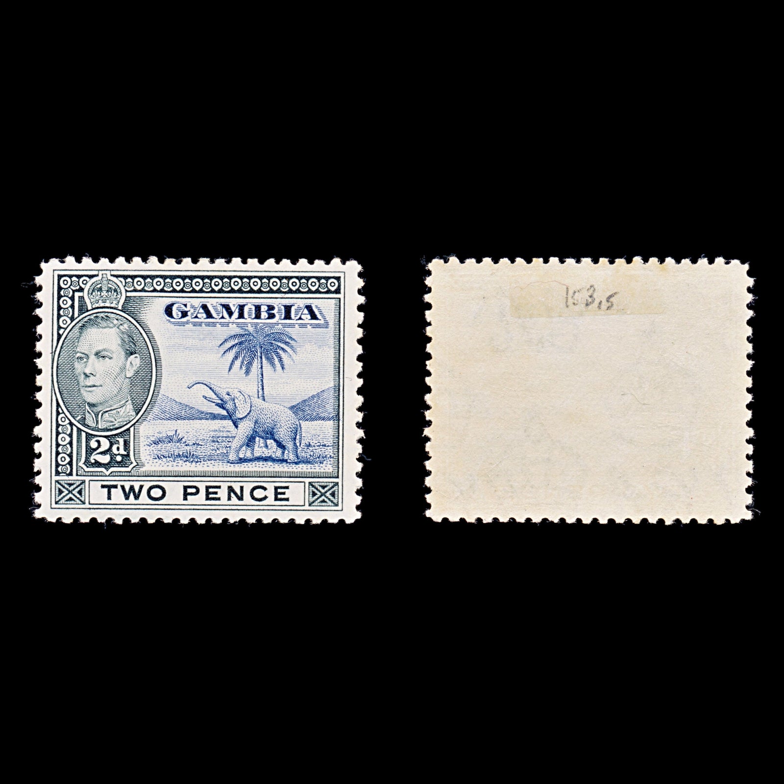 8131: Gambia SG153 2d Blue & Black 1938 Sc#135 Mi127 Mint MH C£15