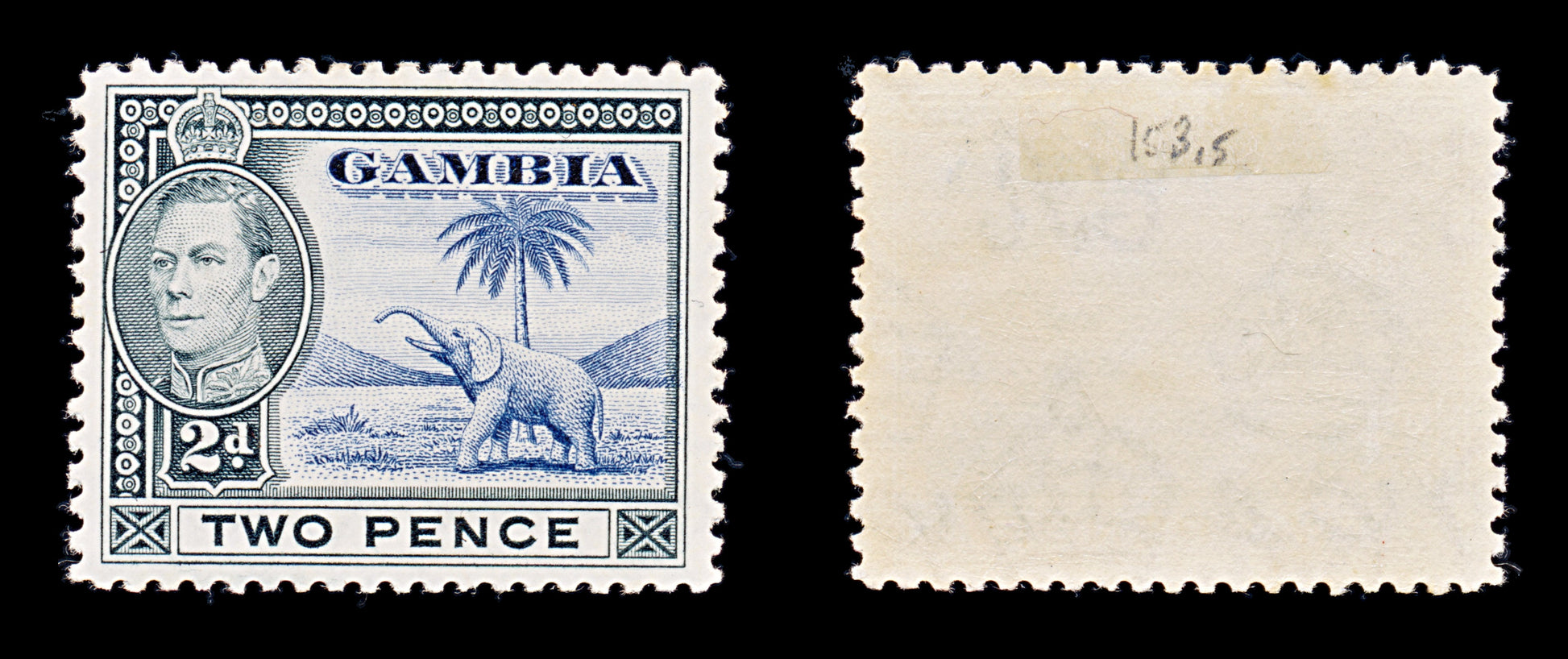8131: Gambia SG153 2d Blue & Black 1938 Sc#135 Mi127 Mint MH C£15
