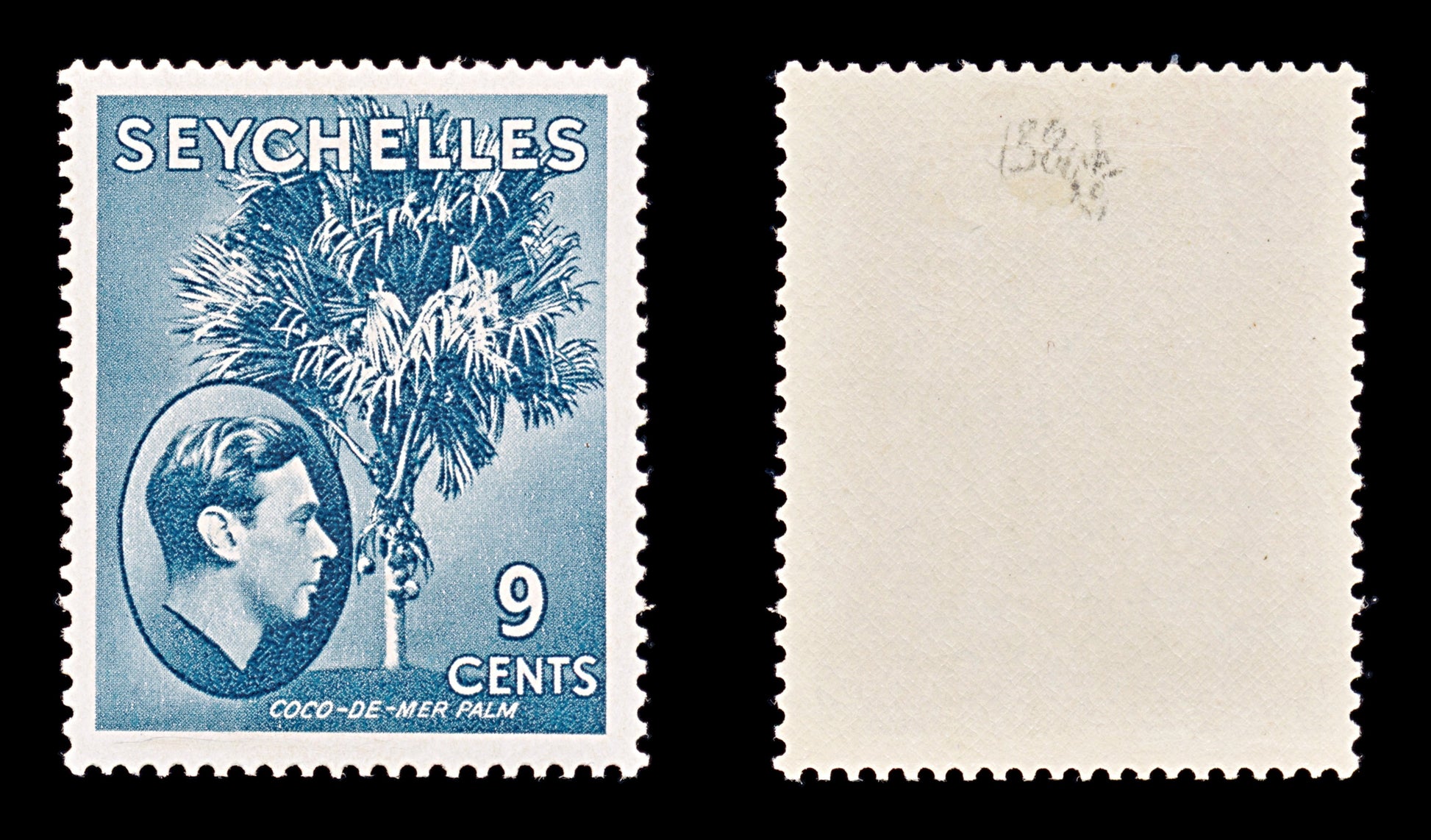 8217: Seychelles SG138ab 9c Grey blue 1942 Sc#131b Mint MLH C£25