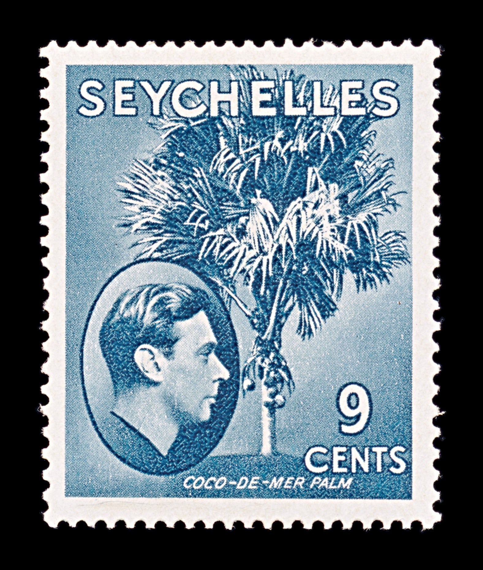 8217: Seychelles SG138ab 9c Grey blue 1942 Sc#131b Mint MLH C£25