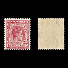 8224: St Kitts Nevis SG69 1d Scarlet 1938 Mi73Ac Mint MLH C£12, view 1
