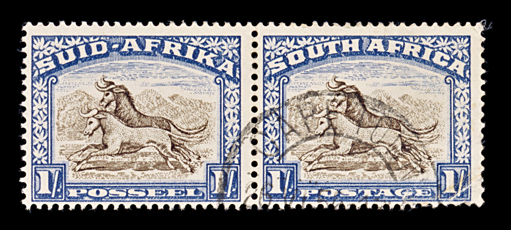8231: South Africa SG62 2x 1s Brown & Blue 1939 Sc#62 Mi89-90 Used C£18