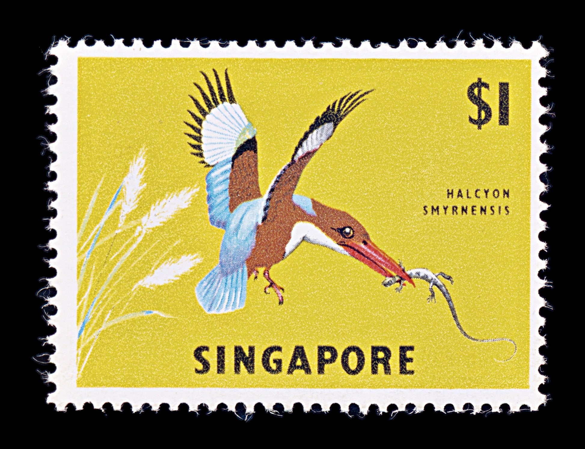8243: Singapore SG75 1$ Multicolor 1963 Sc#67 Mi66X Mint MNH C£20