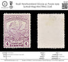 8248: Newfoundland SG133a 4c Purple 1919 Sc#118 Mi99 Mint MNG C£28