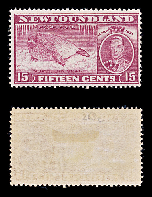 8250: Newfoundland SG263c 15c Claret 1937 Mi227A Mint MH C£26