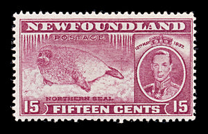 8250: Newfoundland SG263c 15c Claret 1937 Mi227A Mint MH C£26