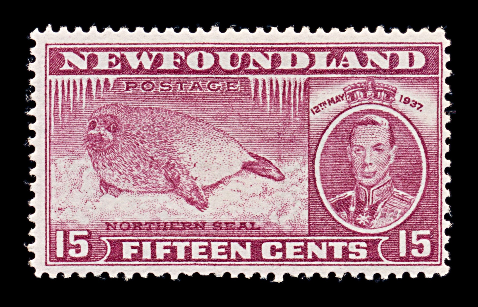 8250: Newfoundland SG263c 15c Claret 1937 Mi227A Mint MH C£26