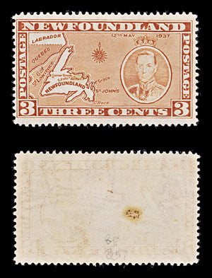 8251: Newfoundland SG258 3c Orange brown 1937 Sc#234 Mi222IA Mint MNH C£38