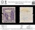 8253: Newfoundland SG172a 10c Dark violet 1928 Used C£35