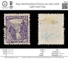 8253: Newfoundland SG172a 10c Dark violet 1928 Used C£35
