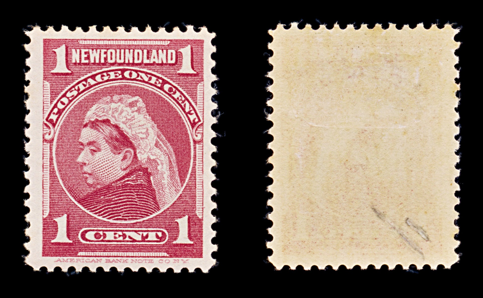 8260: Newfoundland SG84 1c Carmine rose 1897 Sc#79 Mi59 Mint MVLH C£9